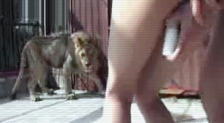 Sex Near A Deadly Lion
